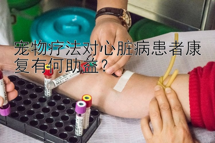 宠物疗法对心脏病患者康复有何助益？