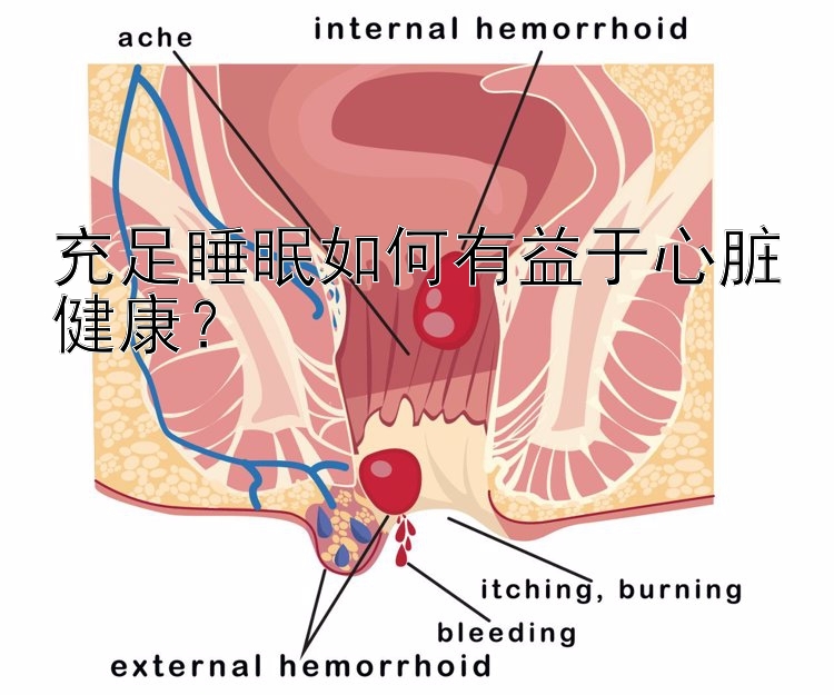 充足睡眠如何有益于心脏健康？