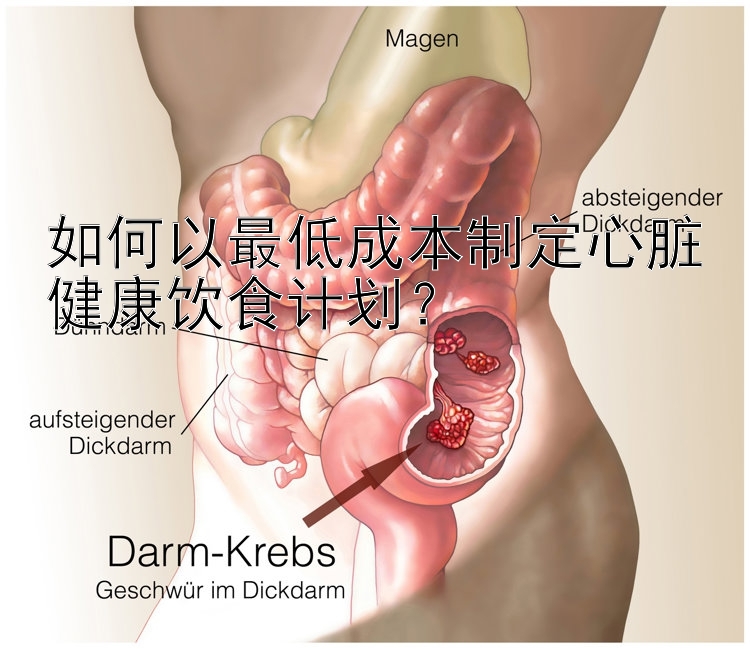 如何以最低成本制定心脏健康饮食计划？