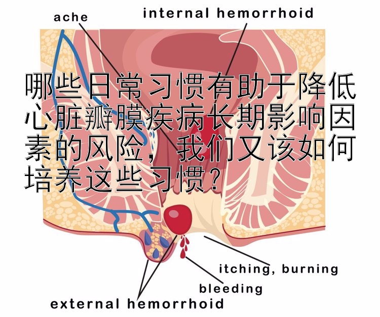 哪些日常习惯有助于降低心脏瓣膜疾病长期影响因素的风险，我们又该如何培养这些习惯？