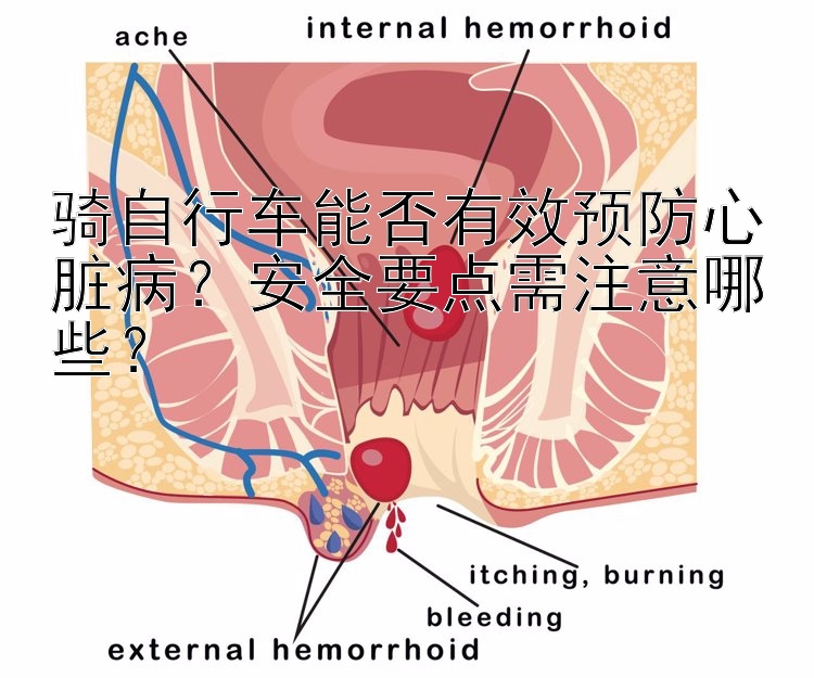 骑自行车能否有效预防心脏病？安全要点需注意哪些？